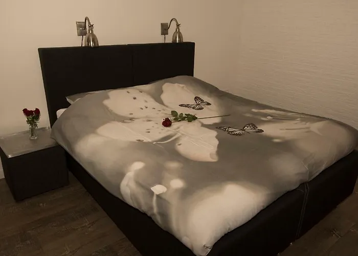 Munnickenheide Buitengewoon Overnachten Couette-café